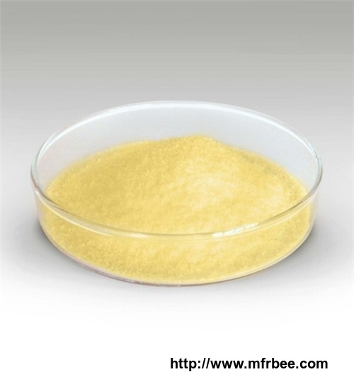 ginger_extract_powder