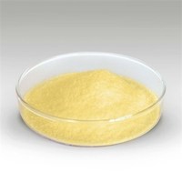 more images of Ginger Extract Powder