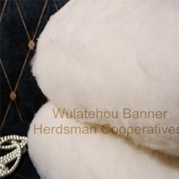 Wool and sheep cashmere filling for comforter/quilt/throw/blanket/garment