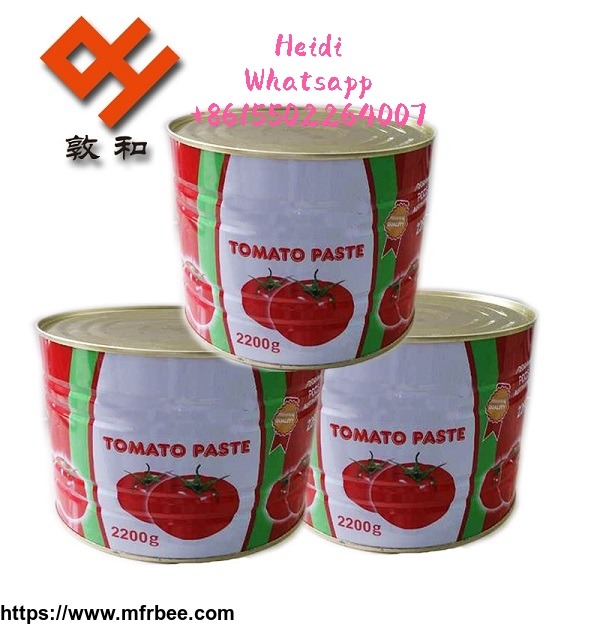 hot_tomato_sauce_tomato_paste_2200g_28_30_percentage_china_origin