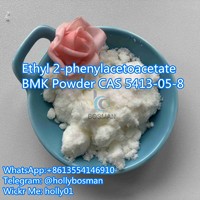 Factory supply CAS 5413-05-8/16648-44-5 ETHYL 2-PHENYLACETOACETATE bmk powder