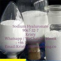 High quality Sodium Hyaluronate 9067-32-7