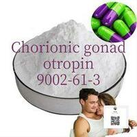more images of Good quality Chorionic gonadotropin 9002-61-3