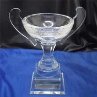 more images of Crystal Cup Trophy