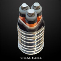 Armored Aluminum Alloy Cable