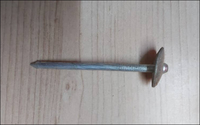 more images of Roofing Nails