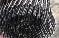 more images of Wire Collated Coil Nail