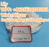 Pmk    CAS:13605-48-6   WPP:+8615630100261   Wickr:lilyzcr