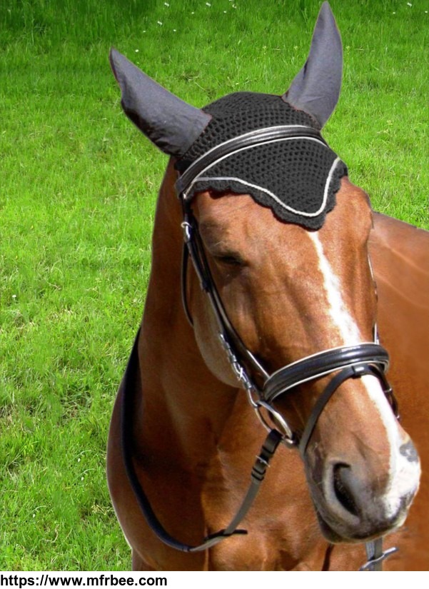 bridle_set_with_reins
