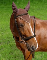 Premium Oiled Leather Bridle Set with Rein
