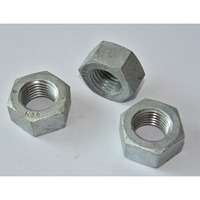 more images of Hex Nuts