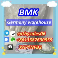 fast delivery new bmk oil CAS 20320-59-6 bmk liquid 5413-05-8 BMK supplier 16648-