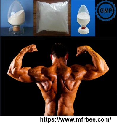 muscle_building_high_purity_testosterone_powder