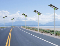 more images of Double-Sided Solar Panel Solar Street Light(SL-X)