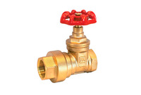 more images of Brass Valves & Pipe Fitting