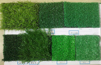 more images of Artificial Lawn