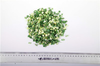 more images of Pure green Herbs Freeze-Dried Spring onions /Allium fistulosum L with Kosher certification