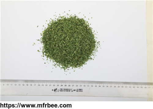 organic_fd_vegetables_parsley_manufacturer_with_freeze_drying_process