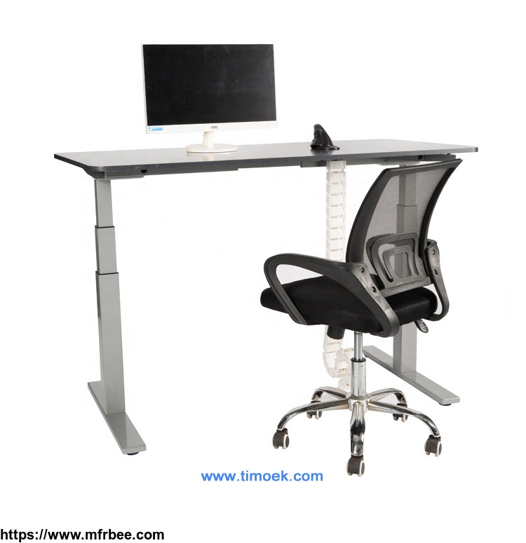 timoek_two_motor_sit_stand_desk_supplier_from_china