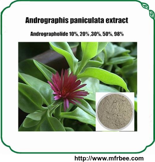 andrographis_paniculata_extract