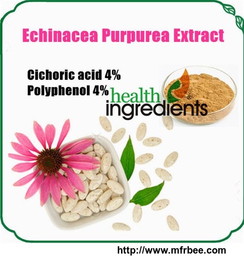 echinacea_purpurea_extract