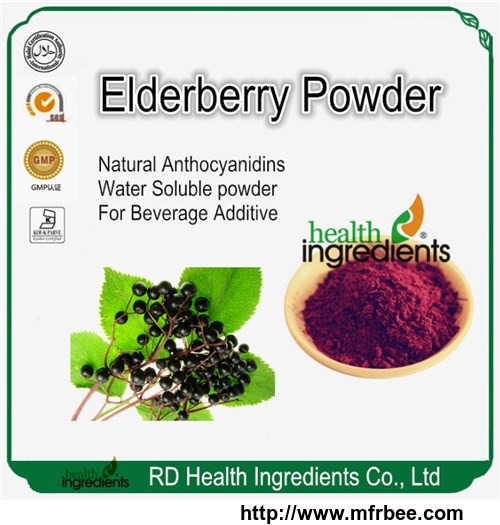elderberry_powder