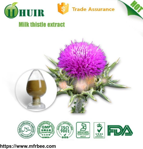 80_percentage_silymarin_milk_thistle_seed_extract_natural_liver_health