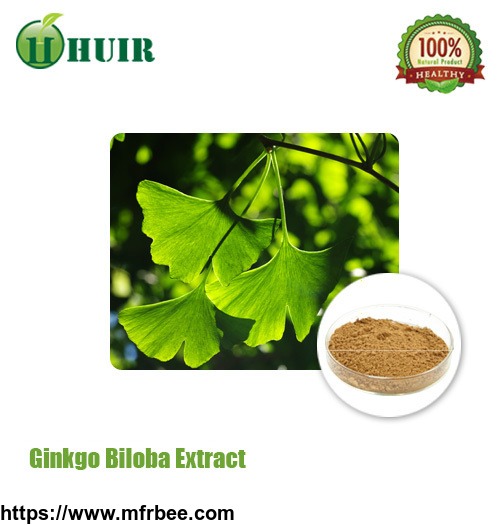 ginkgo_biloba_leaf_extract_24_percentage_flavones_6_percentage_lactones_usp