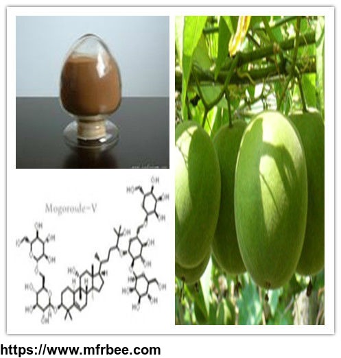organic_80_percentage_total_mogrosides_20_percentage_mogroside_v_luo_han_guo_extract_bulk_powder