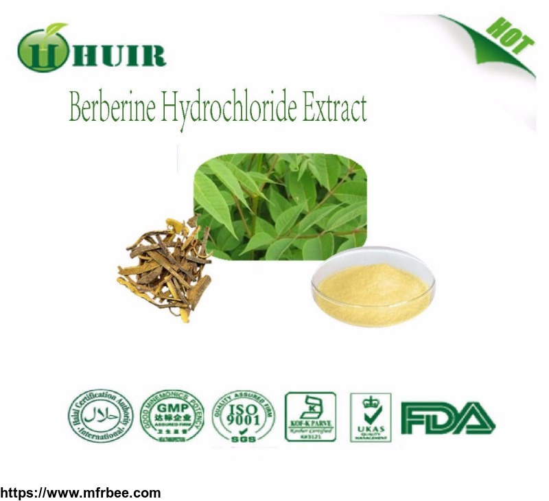 97_percentage_berberine_hcl_high_quality_berberine_hydrochloride