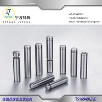 Ningbo Luteng Pistons used in Hydraulic Piston Pumps