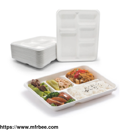 5_compartment_disposable_lunch_tray_sugarcane_bagasse_fiber_sustainable_portable_oil_proof_wholesale_to_go