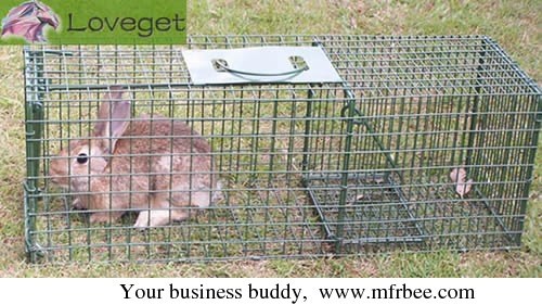 rabbit_traps
