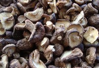 dried mushroom