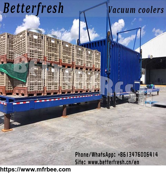 agricuture_refrigeration_vegetable_flower_vacuum_cooling_equipment