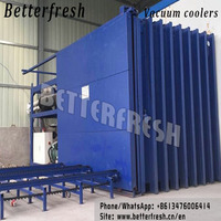 Vegetable Vacuum Cooling Process Pressure Cooling for Cooling Fresh product