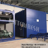 Plant Cooling system Vacuum Cooler with Short time suitable temperature