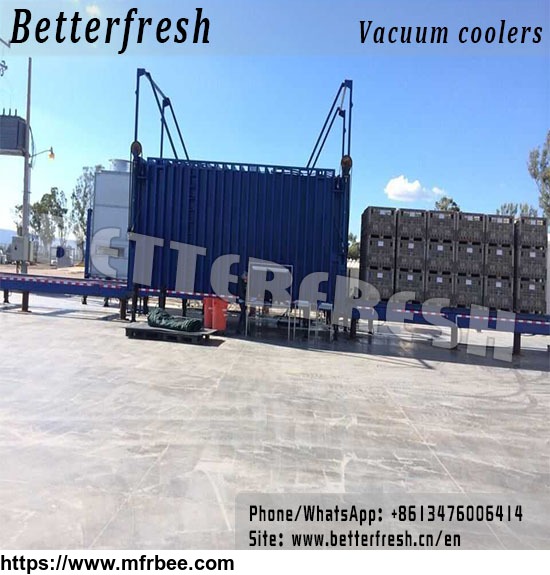 fresh_vegetable_vacuum_cooler_cooling_machine_1_pallet_24pallets