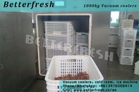 more images of Dongguan Betterfresh cooked food Vacuum Pre cooling machine