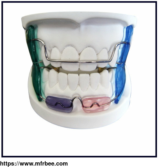 dental_maintainers_retainers_orthodontic_appliance