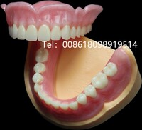 China Dental Lab Looks for Cooperation