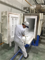 Industrial high temperature tunnel oven