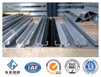 Professional Manufacturer Aluminum Slatwall Panels Inserts