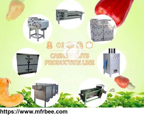 400_500kg_h_cashew_nut_peeling_processing_production_line