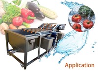 Vegetable and Fruit Washing Machine