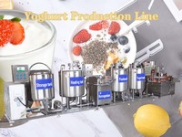 more images of 300L yogurt production line