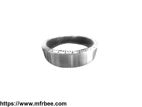 large_diameter_stainless_steel_forged_ring_china