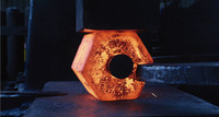 more images of China large forgings-forgings parts OEM/ODM factory