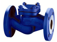 more images of DIN Grey Iron Lift Check Valve DN15-200 (H41H-16)