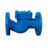 more images of DIN Grey Iron Lift Check Valve DN15-200 (H41H-16)